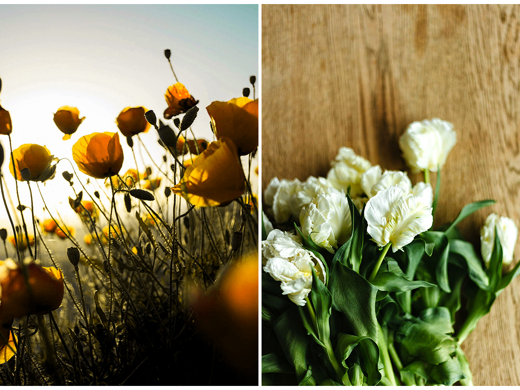 Photo Editing